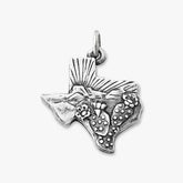 Texas Landscape Charm
