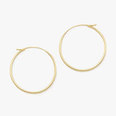 Swedged Hoops