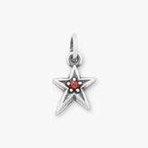 Shining Star Birthstone Charm
