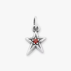 Shining Star Birthstone Charm
