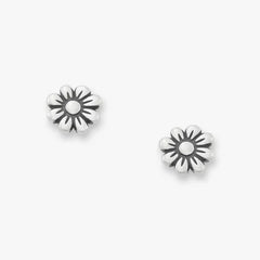 Margarita Studs