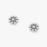 Margarita Studs
