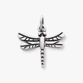 Dragonfly Charm