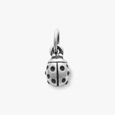 Ladybug Charm