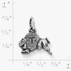 Tonk Charm