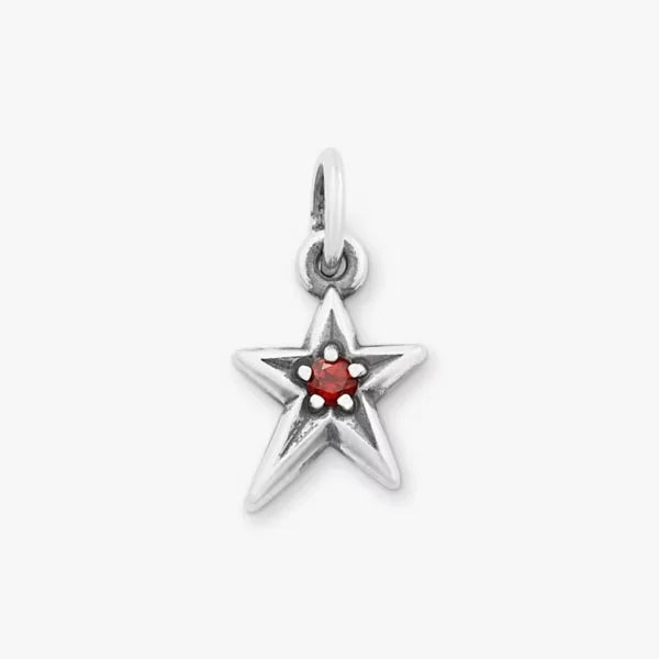 Shining Star Birthstone Charm