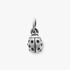 Ladybug Charm