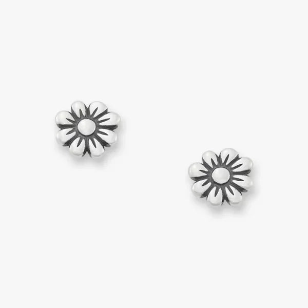 Margarita Studs